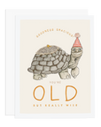 Old Turtle