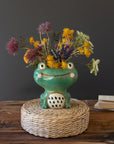 Ceramic Quirky Frog Planter
