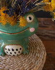 Ceramic Quirky Frog Planter
