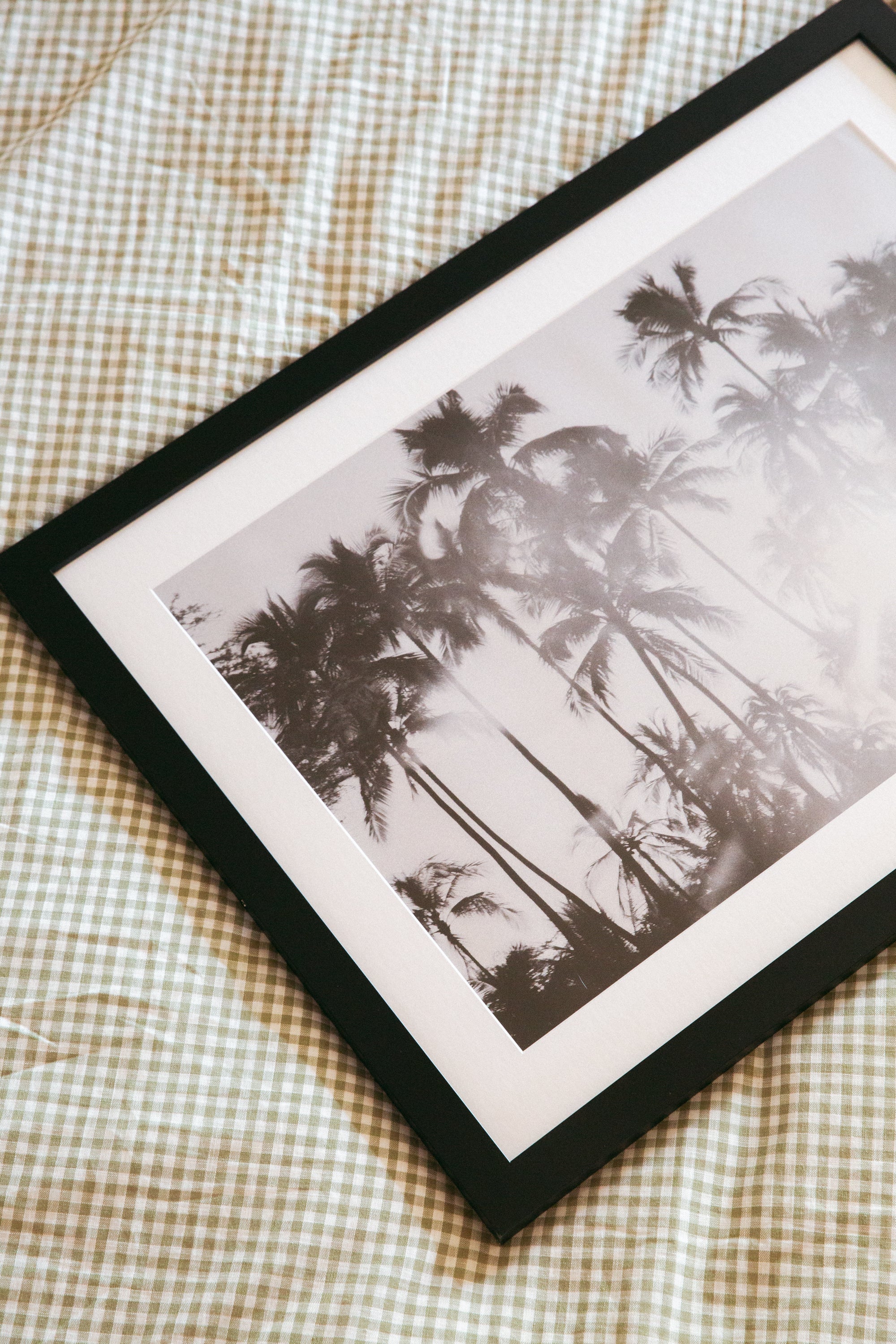 Hawaiian Palms Framed Photo