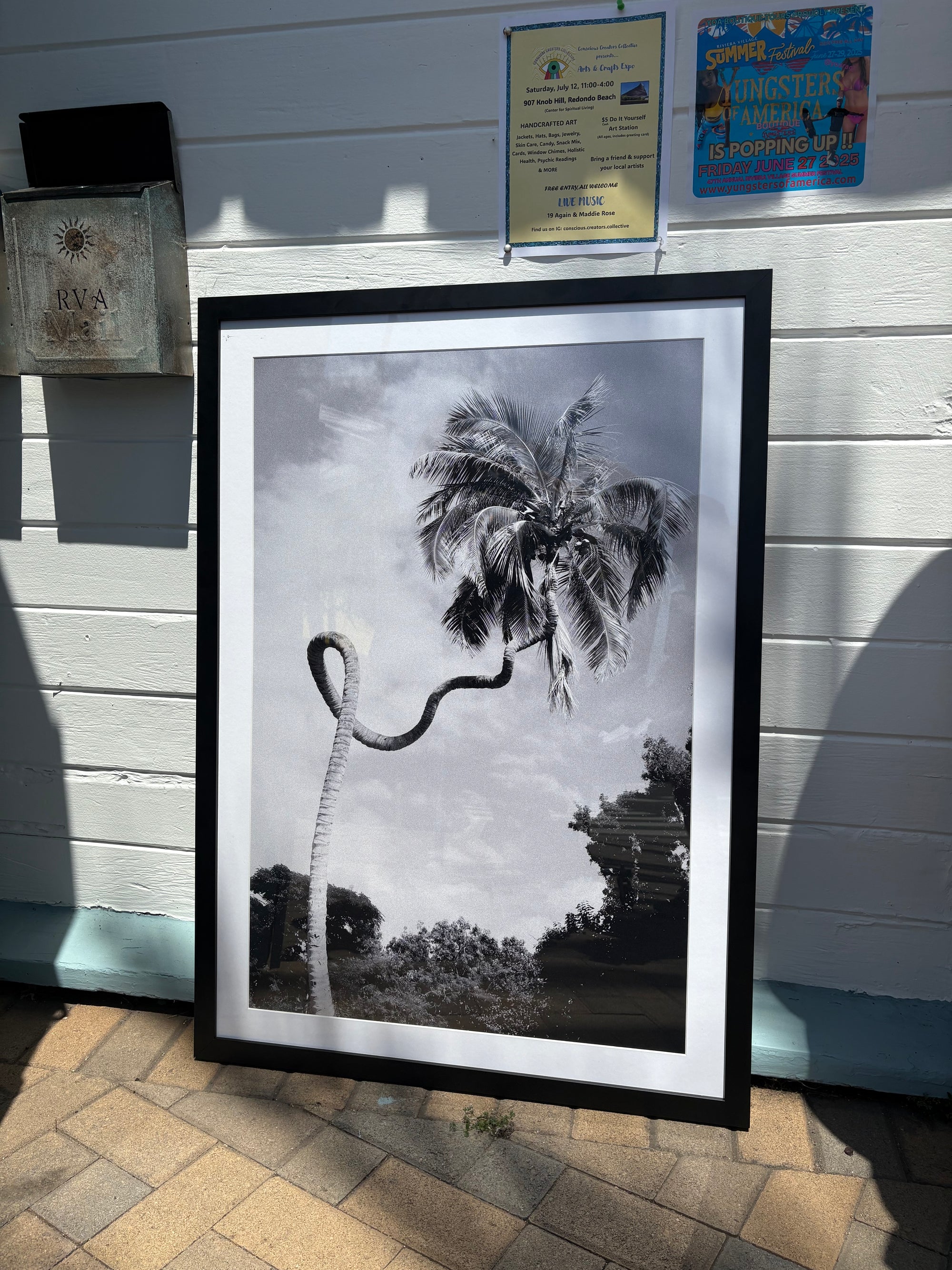 Twisty Palm Framed Photo