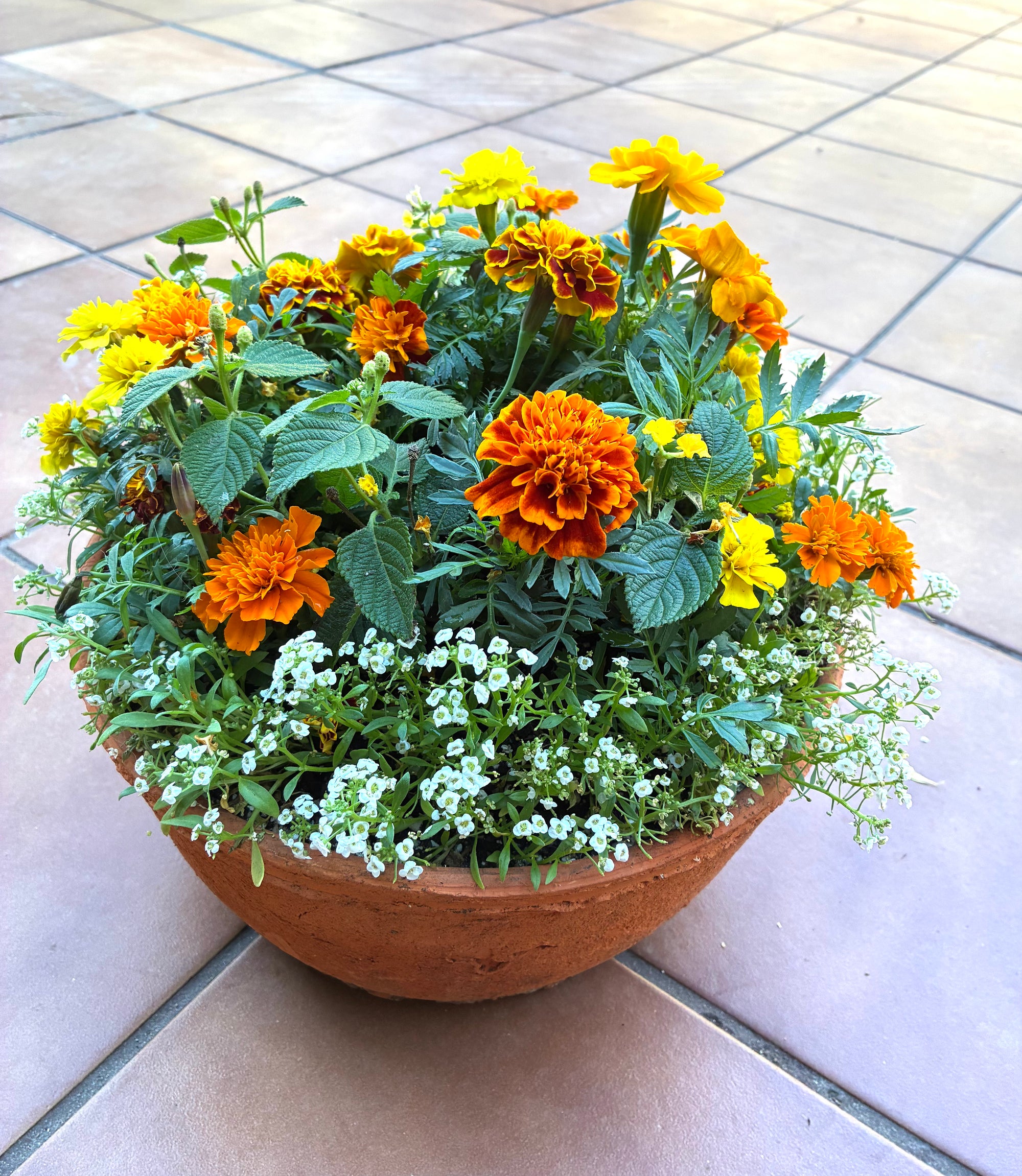 Harvest Floral Terracotta Planter