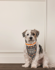 Holiday Reversible Pet Bandanas