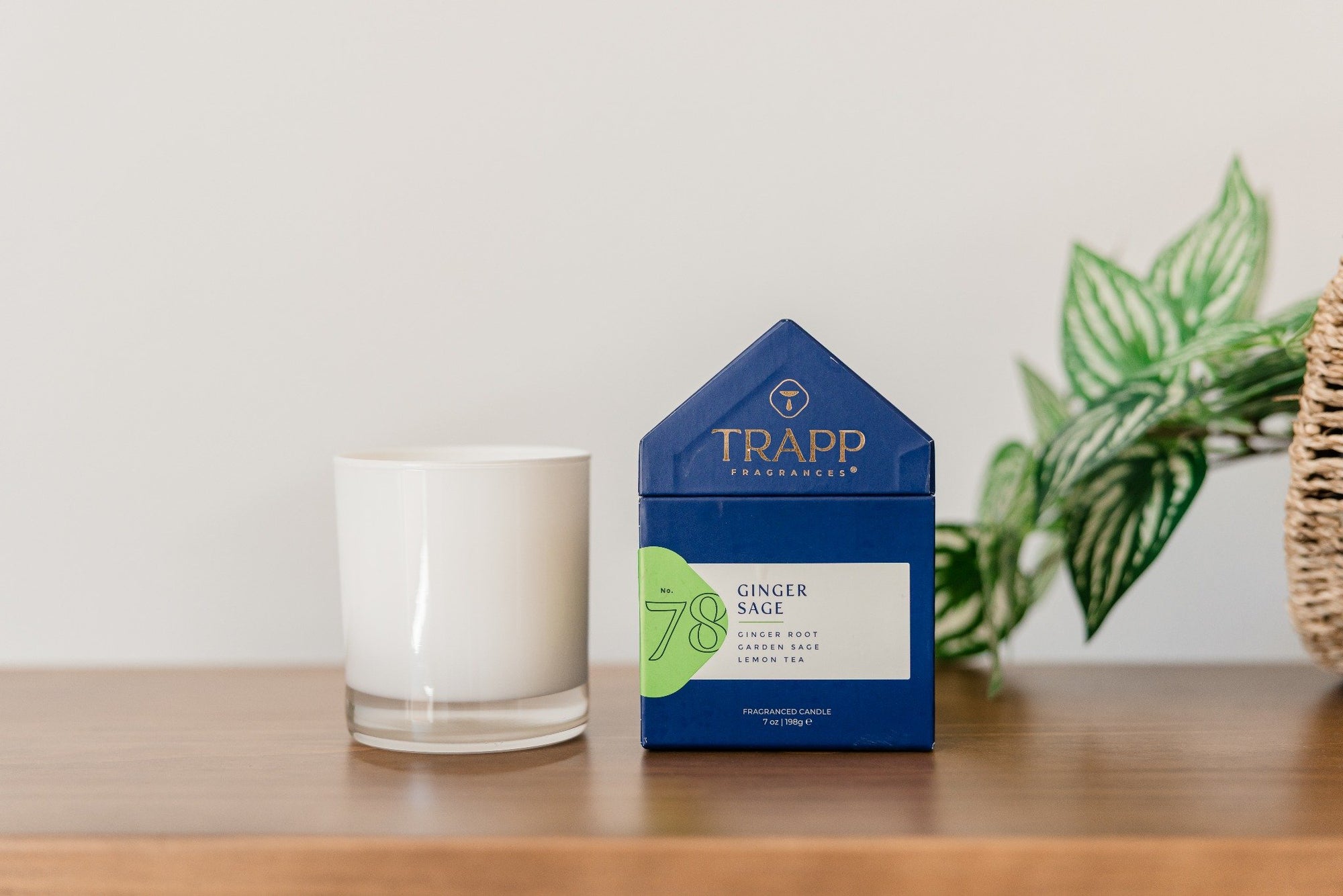 Ginger Sage Trapp Candle