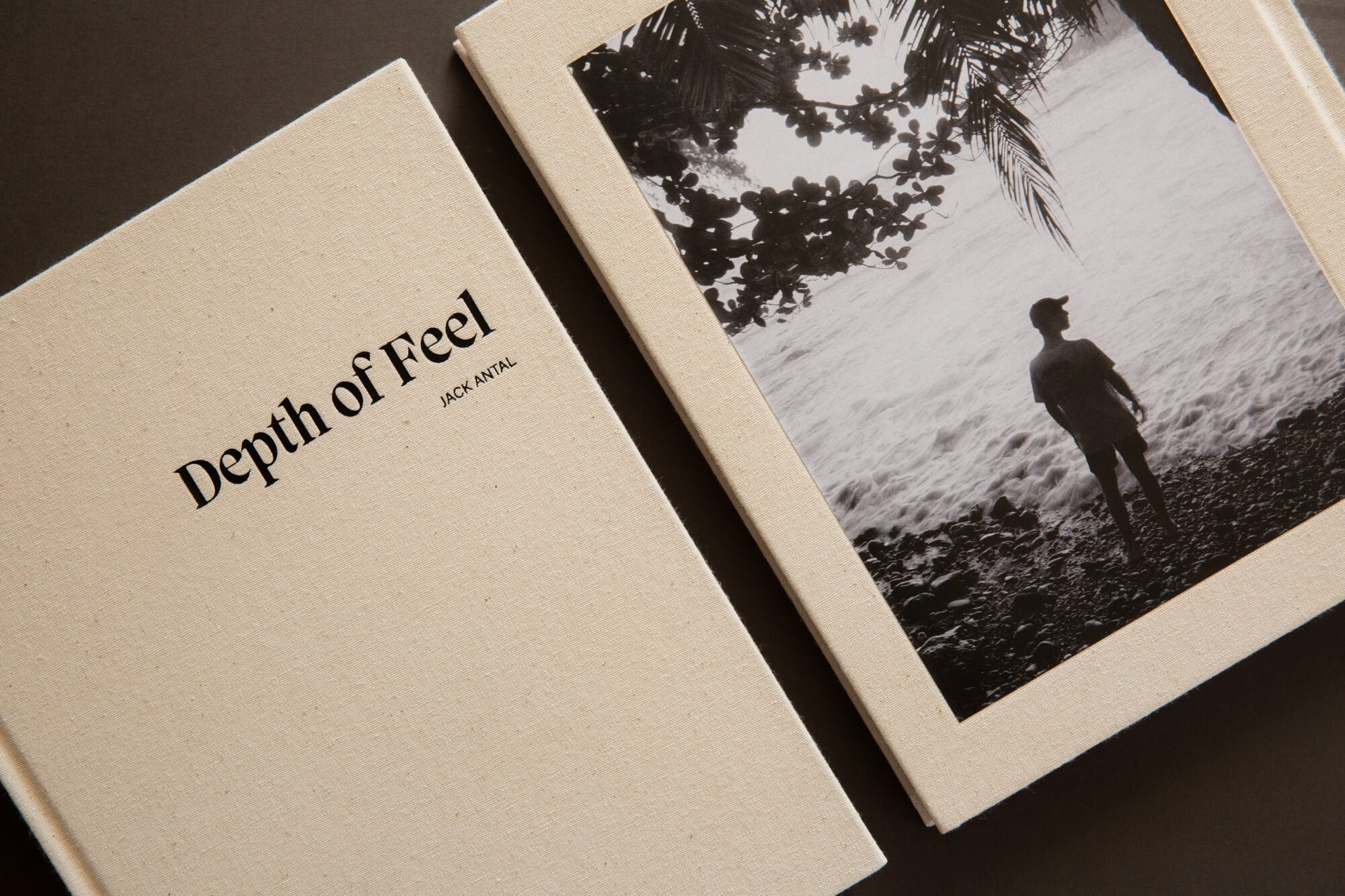 Depth of Feel Book
