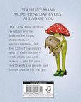The Little Frog's Guide to Life