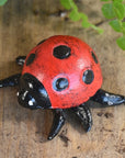 Cast Iron Lady Bug