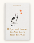 10 Spiritual Lessons You Can Learn from Your Cat