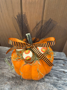 M Sparkler Pumpkin Succulent #576