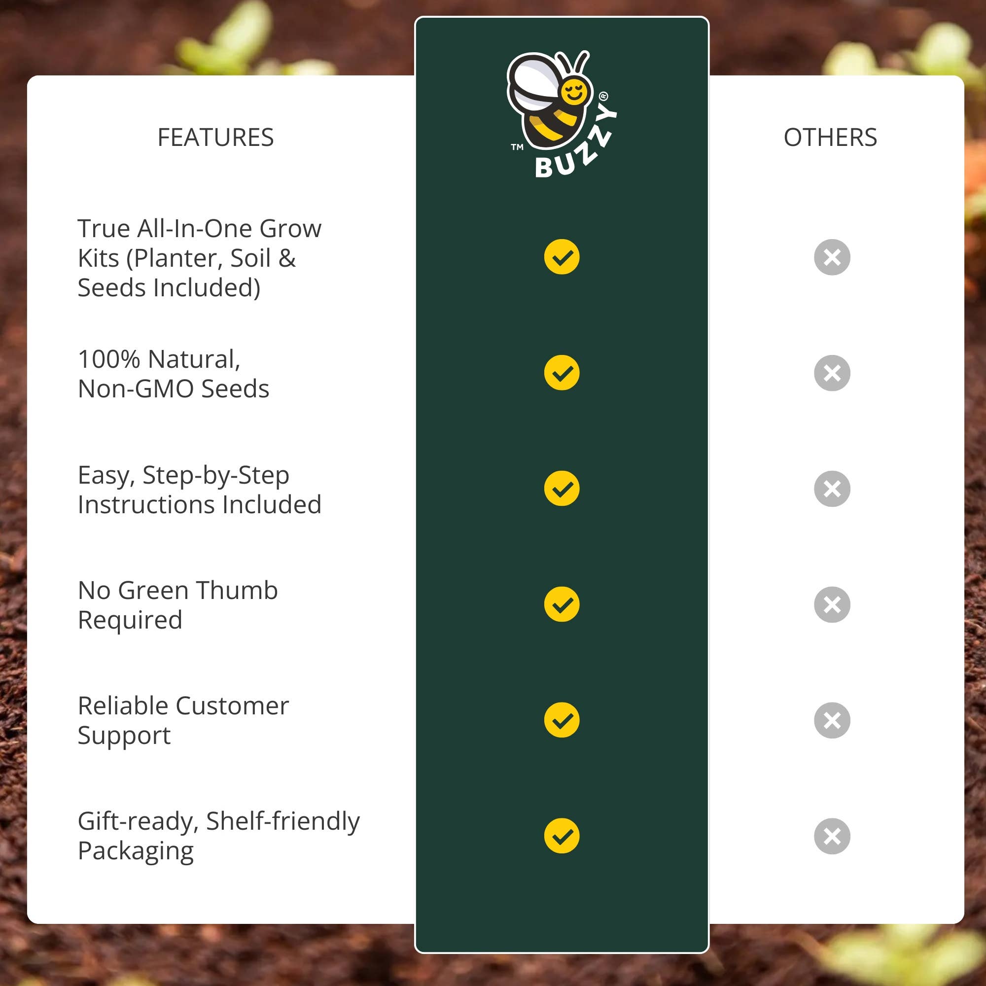 Sunflower Indoor Garden Gift