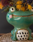 Ceramic Quirky Frog Planter