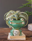 Ceramic Quirky Frog Planter
