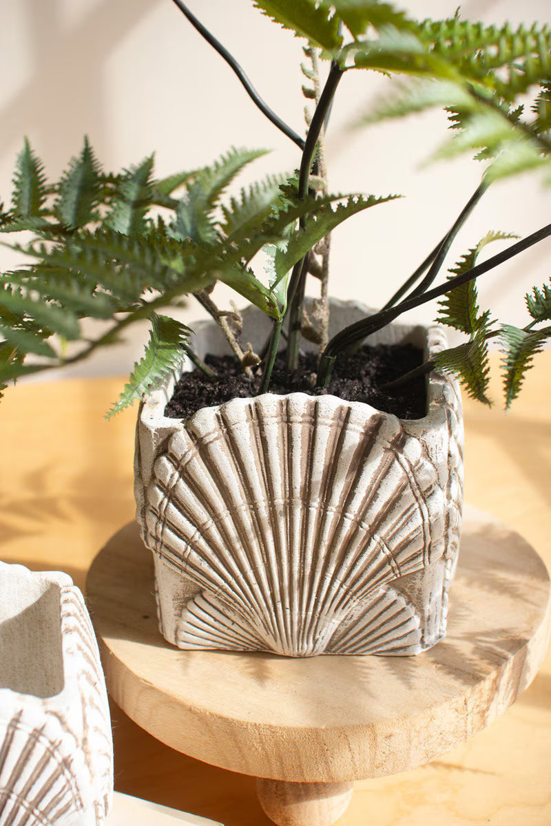 Cement Shell Planter – The Aloha Bungalow