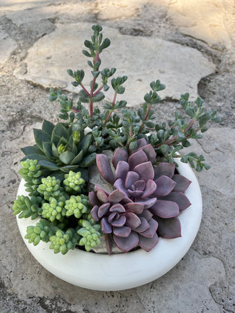 Circle Planter #625