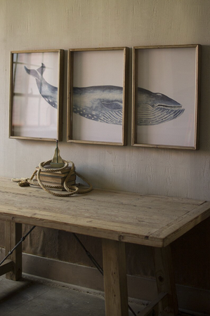 Triptych Framed Whale Print Under Glass