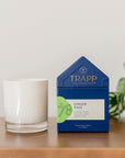 Ginger Sage Candle (7 oz.)