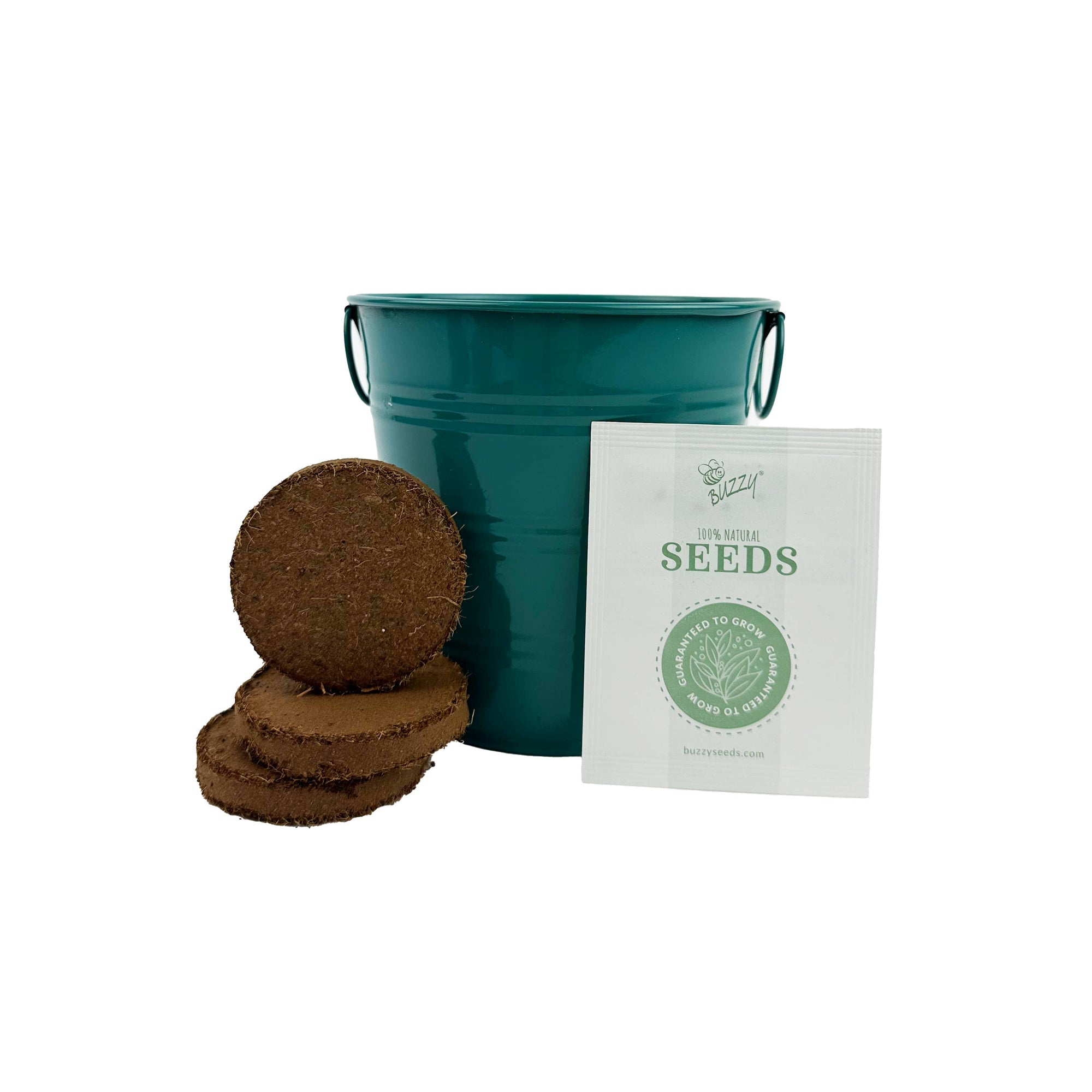 Sunflower Indoor Garden Gift