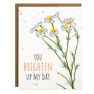 Brighten My Day | Plantable Card - The Card Bureau