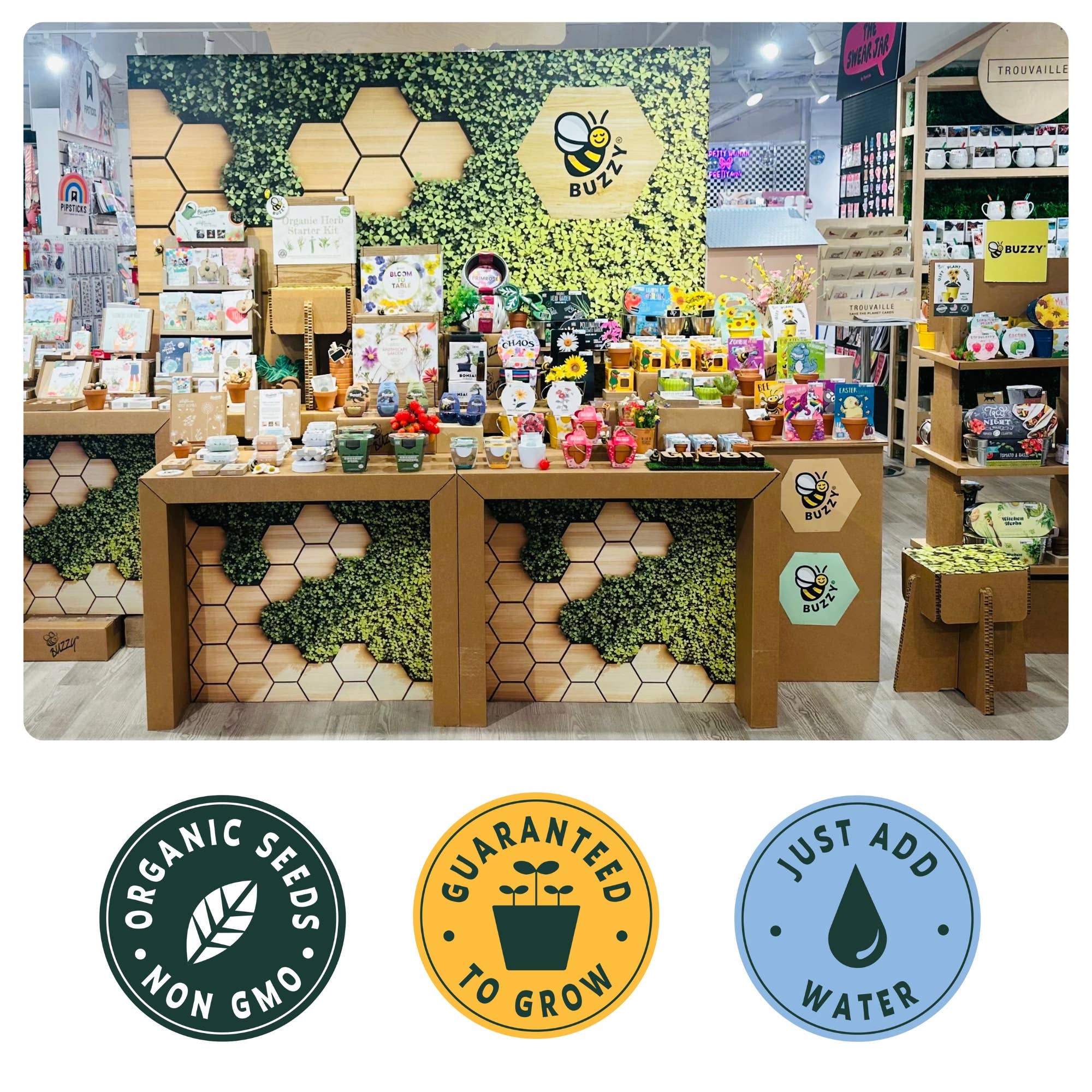 Sunflower Indoor Garden Gift