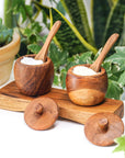 Teak Wood Small Salt Spice Jar Set with Tray and Spoons