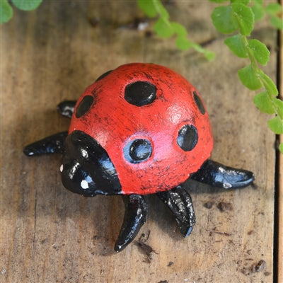 Cast Iron Lady Bug