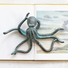 Load image into Gallery viewer, Resin Octopus Decor
