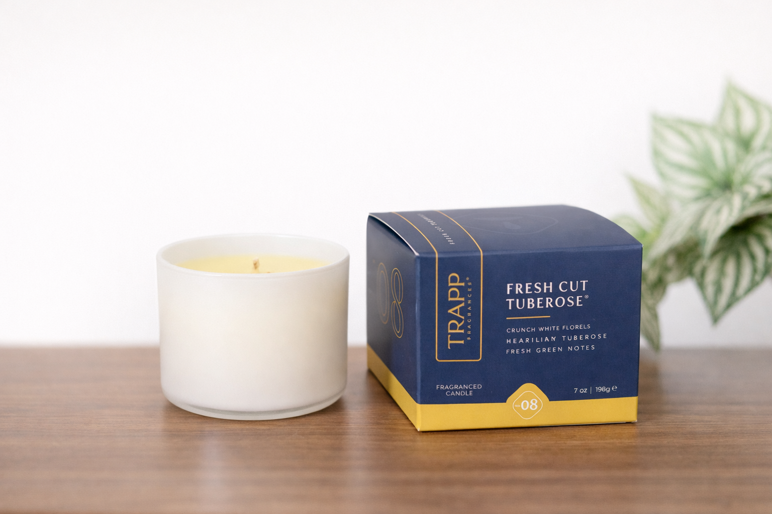 Trapp Fragrances – The Aloha Bungalow Trapp Fragrances – The Aloha Bungalow