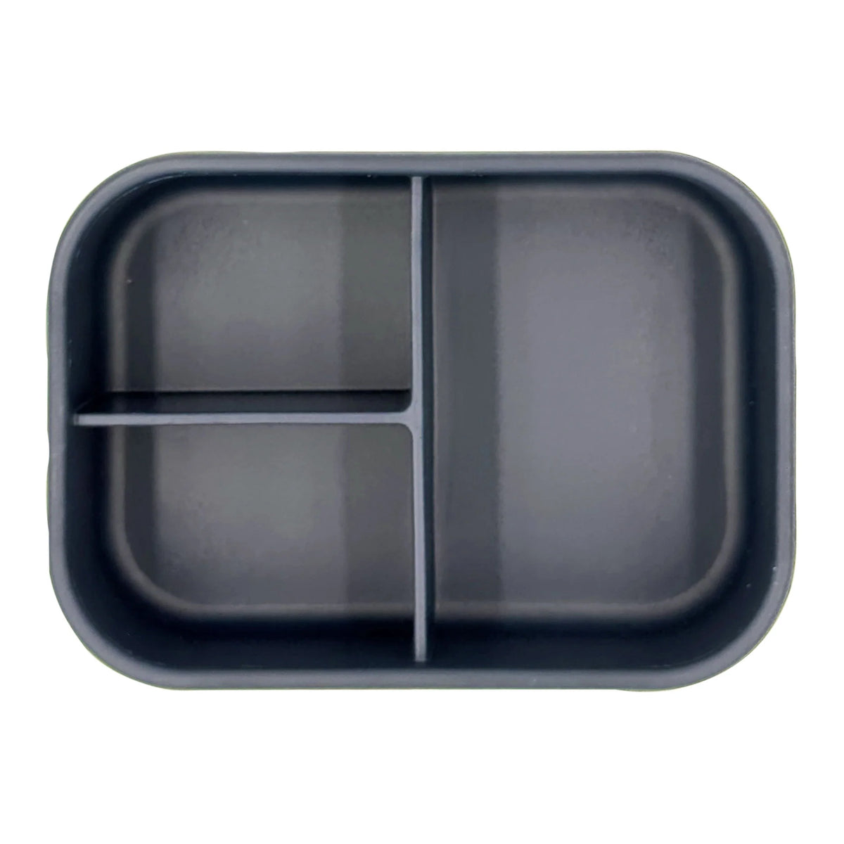Sea Turtle Silicone Bento Box