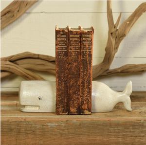 Cast Iron Whale Bookends - HomArt